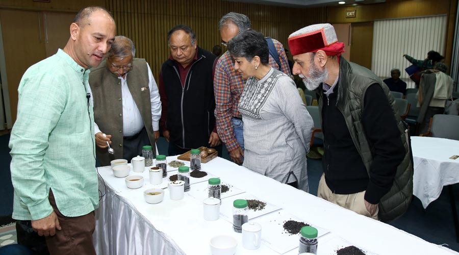 A break for tasting the varieties of tea from the North East